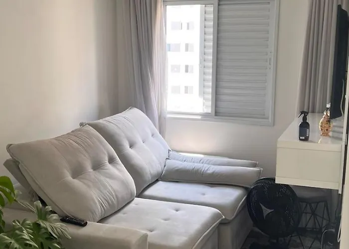 Apartamento Mobiliado No Cambuci